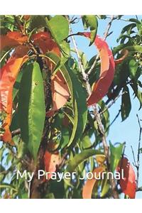 My Prayer Journal