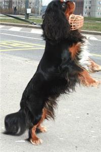 Black and Tan Cavalier King Charles Spaniel on Her Hind Legs Journal