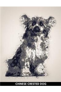 Chinese Crested Dog