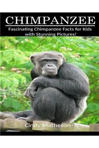 Chimpanzee: Fascinating Chimpanzee Facts for Kids with Stunning Pictures!