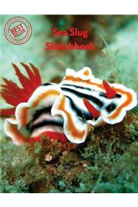 Sea Slug Sketchbook: Blank Paper for Drawing, Doodling or Sketching 120 Large Blank Pages (8.5x11) for Sketching, inspiring, Drawing Anything Kids Love to do and to Impr