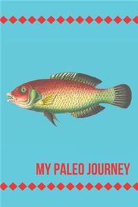 My Paleo Journey