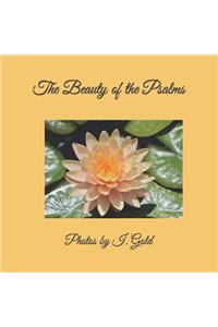 Beauty of the Psalms