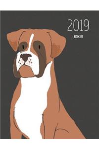 2019 Boxer