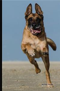 Journal Pages - Dog Run (Bullet Journal)