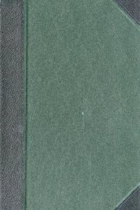 Die Naturlichen Pflanzenfamilien Nebst Ihren Gattungen Und Wichtigsten Arten, Insbesondere Den Nutzpflanzen.