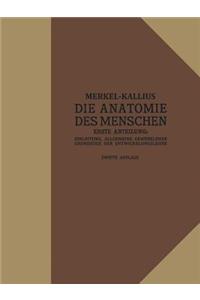 Die Anatomie des Menschen