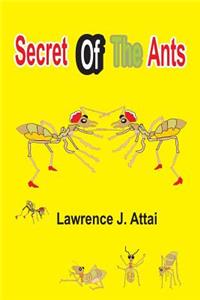 Secret Of The Ants