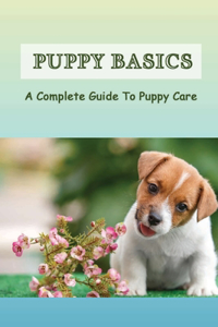 Puppy Basics