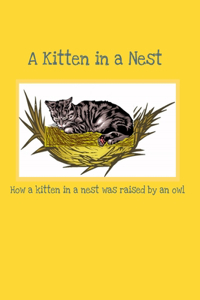 Kitten in a Nest