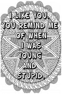 I Like You You Remind Me of When I Was Young and Stupid .