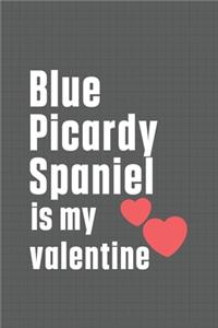 Blue Picardy Spaniel is my valentine