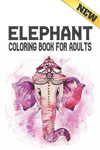 Elephant Coloring Book For Adults