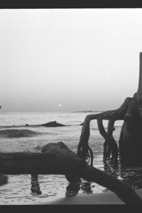 Lost at Sea
