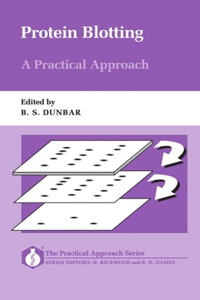 Protein Blotting: A Practical Approach