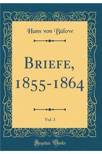 Briefe, 1855-1864, Vol. 3 (Classic Reprint)