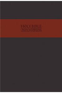 Niv Traveller'S Bible (Sft)