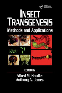 Insect Transgenesis