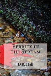 Pebbles in the Stream