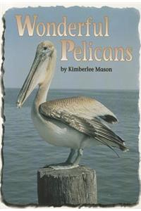 Comprehension Power Readers Wonderful Pelicans Grade 2 Single 2004c