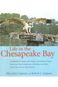 Life in the Chesapeake Bay