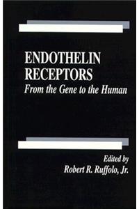 Endothelin Receptors