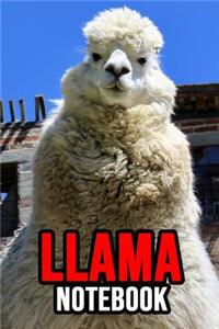Llama Notebook