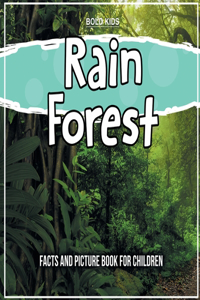 Rain Forest