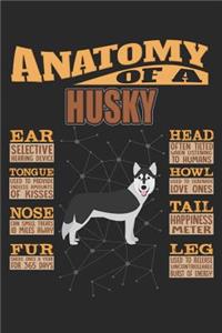 Anatomy Of A Husky