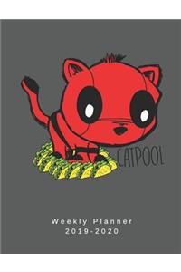 Cat Pool Weekly Planner 2019-2020