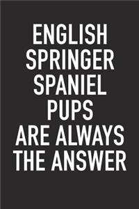 English Springer Spaniel Pups Are Always the Answer