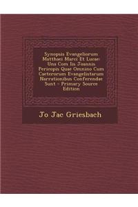Synopsis Evangeliorum Matthaei Marci Et Lucae: Una Com IIS Joannis Pericopis Quae Omnino Cum Caeterorum Evangelistarum Narrationibus Conferendae Sunt