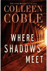 Where Shadows Meet: A Romantic Suspense Novel
