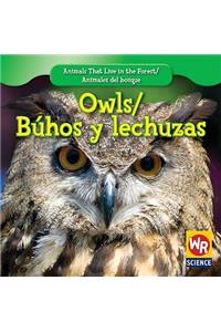 Owls / Búhos Y Lechuzas