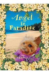 Angel in Paradise