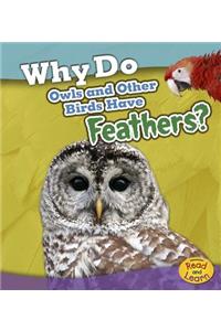 Why Do Owls and Other Birds Have Feathers?