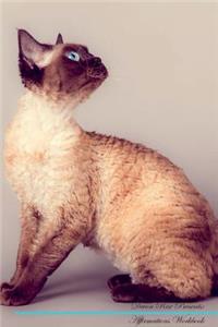 Devon Rex Affirmations Workbook Devon Rex Presents
