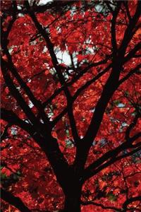 Fall Fire Tree Grid Notebook