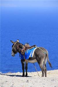 A Little Donkey Looking at the Ocean in Santorini Greece Journal