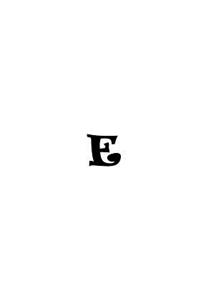 notebook E