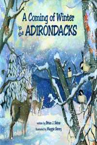 A Coming Of Winter In The Adirondacks