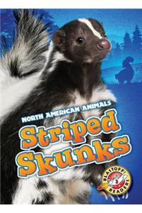 Striped Skunks