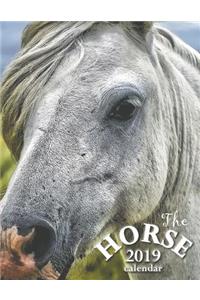 The Horse 2019 Calendar