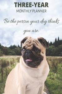 Three Year Monthly Planner Starting 2020 Agenda with Weekly Plan Space - Best Gift For Dog Owner - Funny Pug Appointment Book for 2021 & 2022