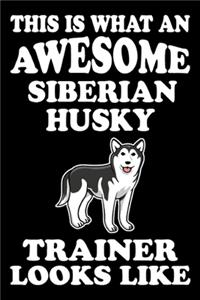 This is what an awesome Siberian Husky Trainer Looks Like