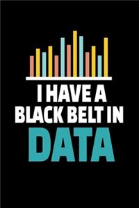 I Have A Black belt In Data