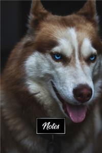Siberian Husky Huskies Dog Pup Puppy Doggie Notebook Bullet Journal Diary Composition Book Notepad - In the Night