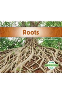 Roots