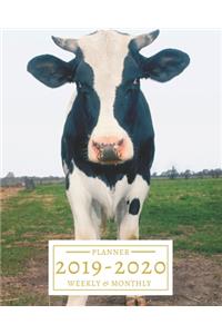 2019-2020: 16-Month Weekly and Monthly Planner/Calendar Sept 2019-Dec 2020 Cute Cow in the Field