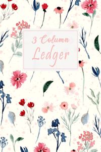 3 Column Ledger